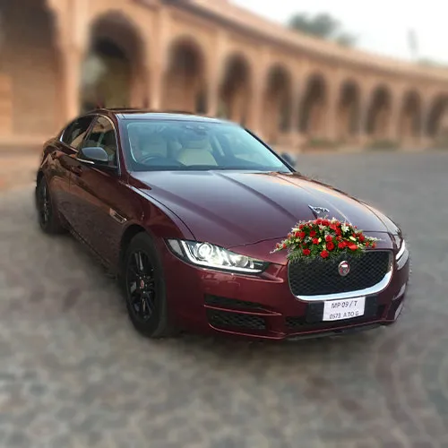 Classic Jaguar Car Hire for Wedding in Jaipur